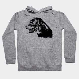 rottweiler portrait Hoodie